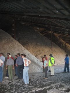 inspecting cotton in store